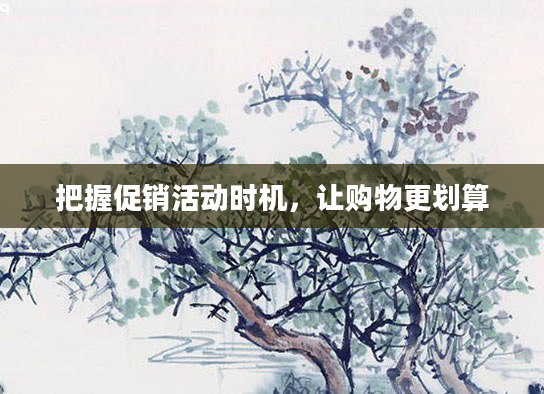 把握促销活动时机，让购物更划算
