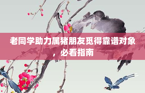 老同学助力属猪朋友觅得靠谱对象，必看指南