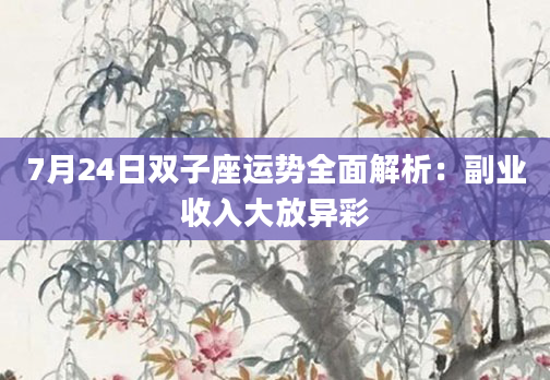 7月24日双子座运势全面解析：副业收入大放异彩
