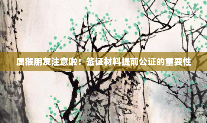 属猴朋友注意啦！签证材料提前公证的重要性