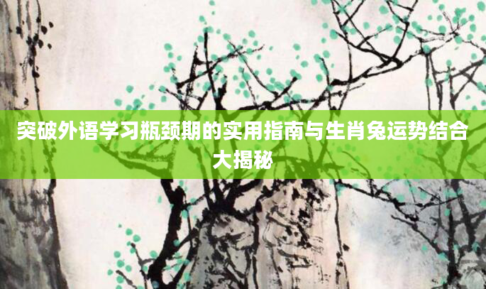 突破外语学习瓶颈期的实用指南与生肖兔运势结合大揭秘