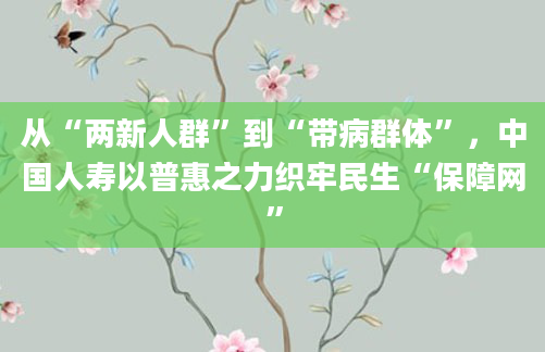 从“两新人群”到“带病群体”，中国人寿以普惠之力织牢民生“保障网”