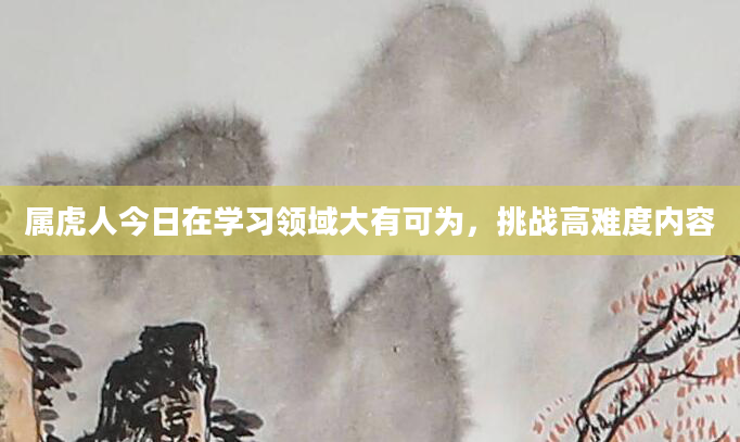 属虎人今日在学习领域大有可为，挑战高难度内容
