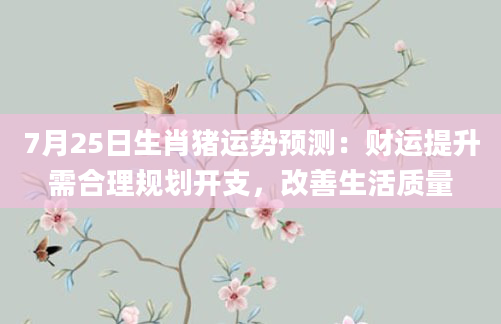 7月25日生肖猪运势预测：财运提升需合理规划开支，改善生活质量