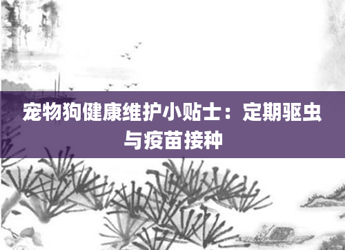 宠物狗健康维护小贴士：定期驱虫与疫苗接种