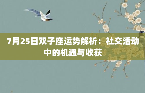 7月25日双子座运势解析：社交活动中的机遇与收获