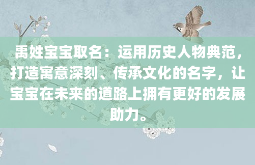 禹姓宝宝取名：运用历史人物典范，打造寓意深刻、传承文化的名字，让宝宝在未来的道路上拥有更好的发展助力。