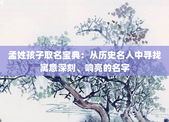 孟姓孩子取名宝典：从历史名人中寻找寓意深刻、响亮的名字