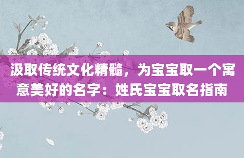 汲取传统文化精髓，为宝宝取一个寓意美好的名字：姓氏宝宝取名指南