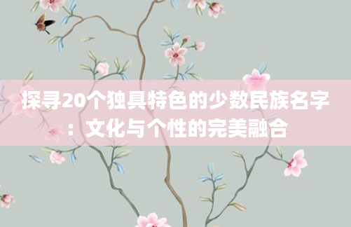 探寻20个独具特色的少数民族名字：文化与个性的完美融合
