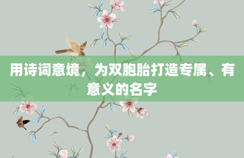 用诗词意境，为双胞胎打造专属、有意义的名字