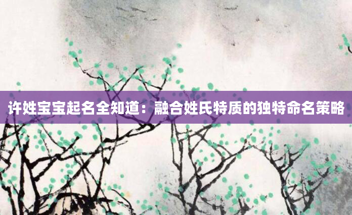 许姓宝宝起名全知道：融合姓氏特质的独特命名策略