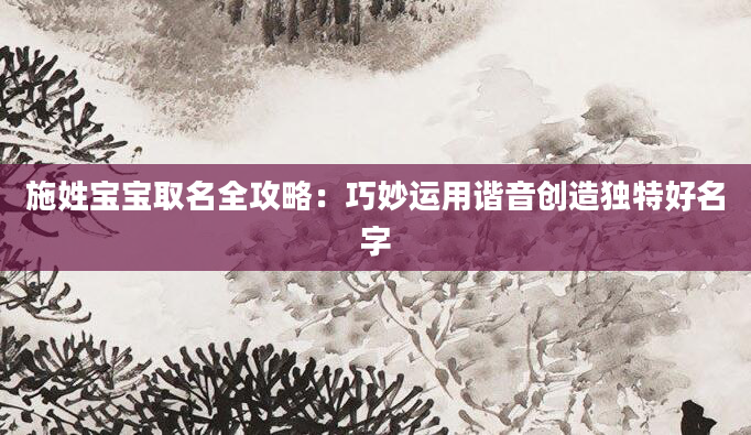 施姓宝宝取名全攻略：巧妙运用谐音创造独特好名字