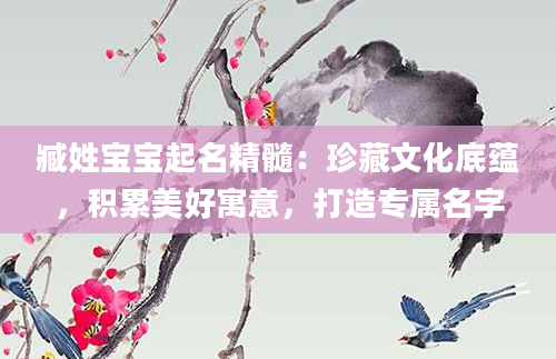臧姓宝宝起名精髓：珍藏文化底蕴，积累美好寓意，打造专属名字