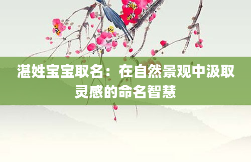 湛姓宝宝取名：在自然景观中汲取灵感的命名智慧