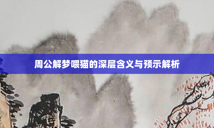 周公解梦喂猫的深层含义与预示解析