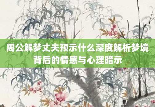 周公解梦丈夫预示什么深度解析梦境背后的情感与心理暗示