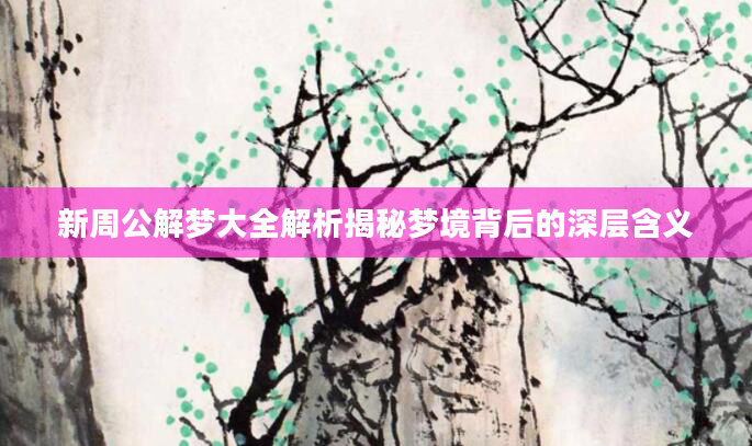 新周公解梦大全解析揭秘梦境背后的深层含义