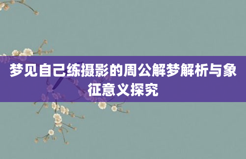 梦见自己练摄影的周公解梦解析与象征意义探究