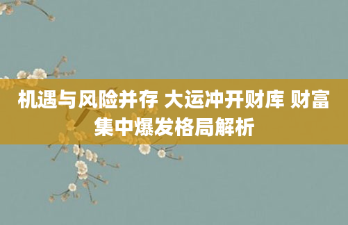 机遇与风险并存 大运冲开财库 财富集中爆发格局解析