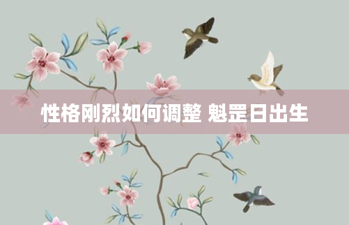 性格刚烈如何调整 魁罡日出生
