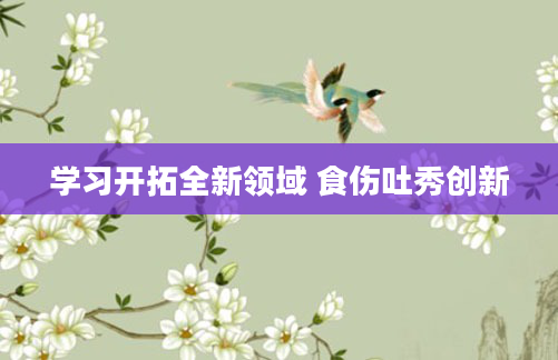 学习开拓全新领域 食伤吐秀创新