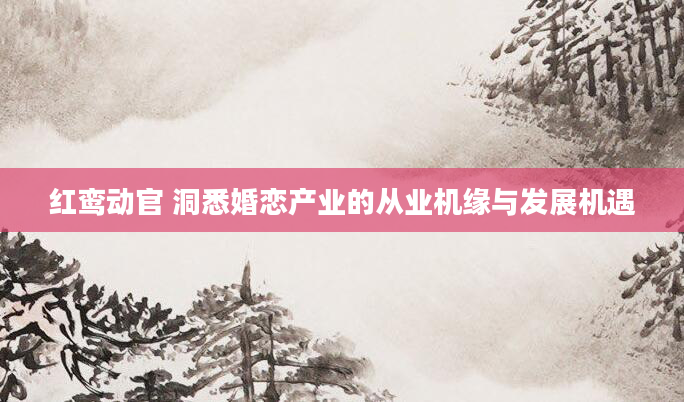 红鸾动官 洞悉婚恋产业的从业机缘与发展机遇