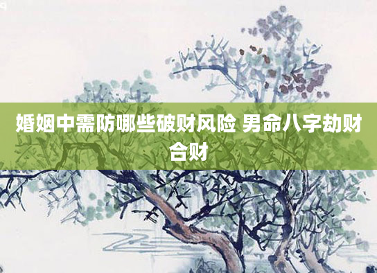 婚姻中需防哪些破财风险 男命八字劫财合财