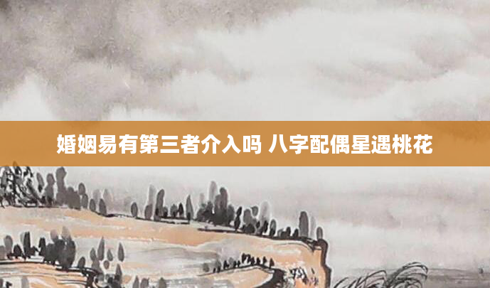 婚姻易有第三者介入吗 八字配偶星遇桃花