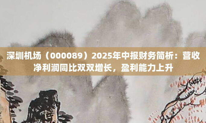 深圳机场（000089）2025年中报财务简析：营收净利润同比双双增长，盈利能力上升