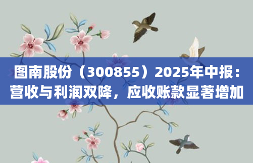 图南股份（300855）2025年中报：营收与利润双降，应收账款显著增加