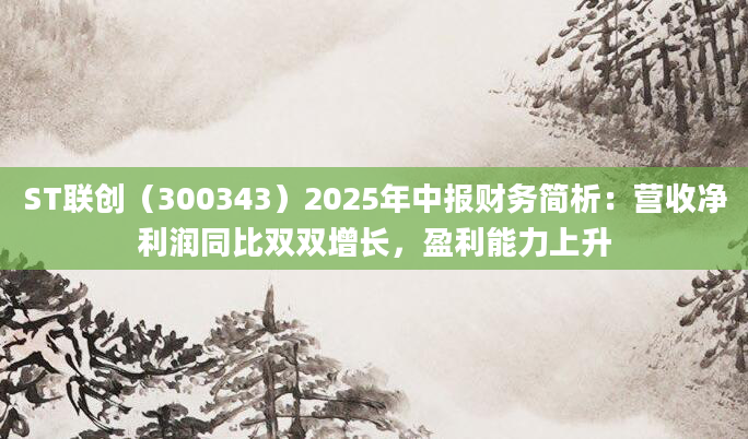 ST联创（300343）2025年中报财务简析：营收净利润同比双双增长，盈利能力上升
