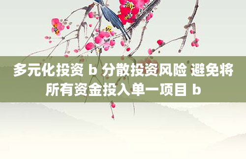 多元化投资 b 分散投资风险 避免将所有资金投入单一项目 b