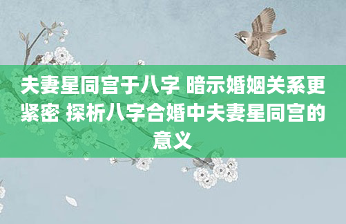 夫妻星同宫于八字 暗示婚姻关系更紧密 探析八字合婚中夫妻星同宫的意义