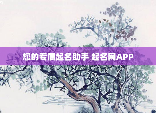 您的专属起名助手 起名网APP