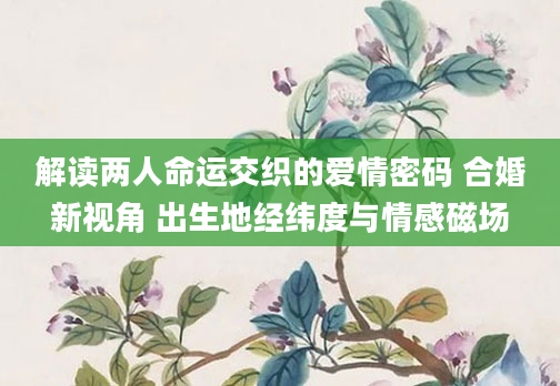 解读两人命运交织的爱情密码 合婚新视角 出生地经纬度与情感磁场