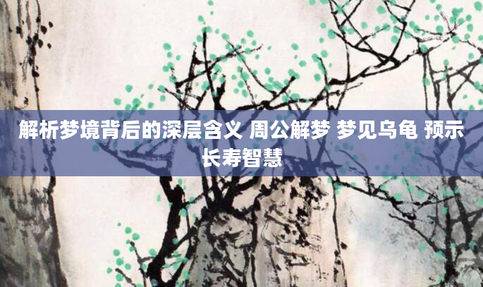 解析梦境背后的深层含义 周公解梦 梦见乌龟 预示长寿智慧