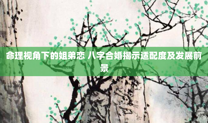命理视角下的姐弟恋 八字合婚揭示适配度及发展前景