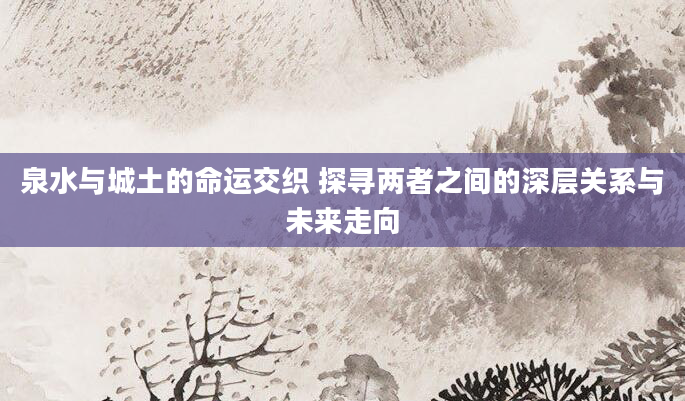 泉水与城土的命运交织 探寻两者之间的深层关系与未来走向
