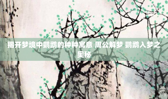 揭开梦境中鹦鹉的种种寓意 周公解梦 鹦鹉入梦之奥秘