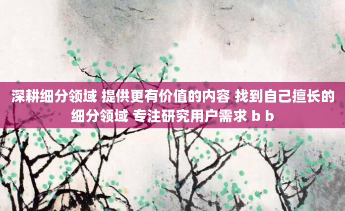 深耕细分领域 提供更有价值的内容 找到自己擅长的细分领域 专注研究用户需求 b b