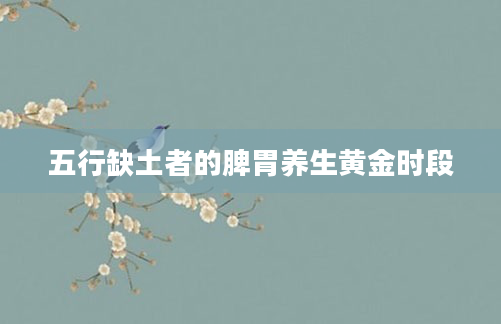 五行缺土者的脾胃养生黄金时段