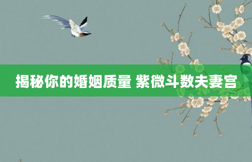 揭秘你的婚姻质量 紫微斗数夫妻宫