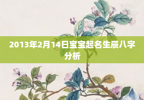 2013年2月14日宝宝起名生辰八字分析