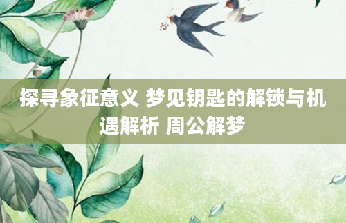 探寻象征意义 梦见钥匙的解锁与机遇解析 周公解梦