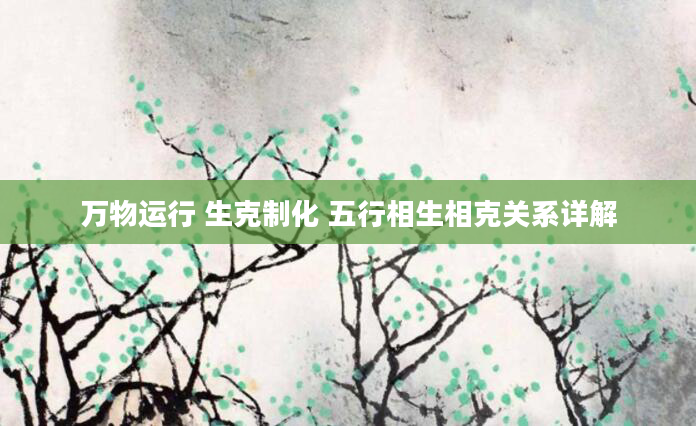 万物运行 生克制化 五行相生相克关系详解
