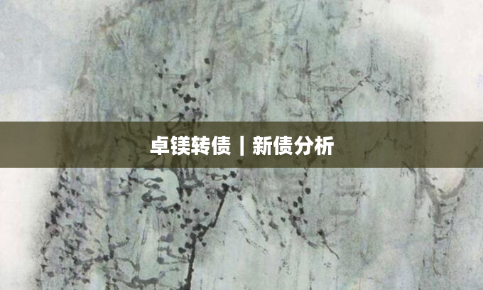 卓镁转债｜新债分析