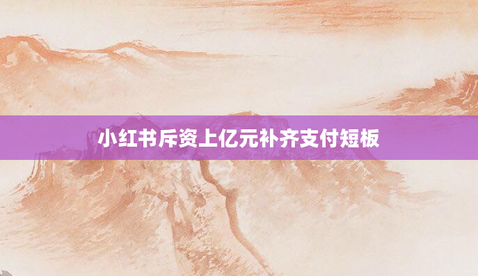 小红书斥资上亿元补齐支付短板