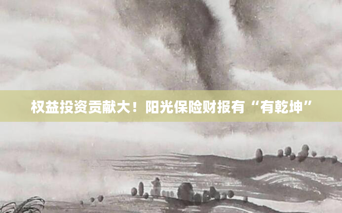 权益投资贡献大！阳光保险财报有“有乾坤”