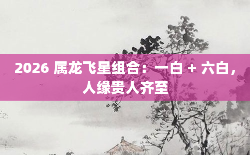 2026 属龙飞星组合：一白 + 六白，人缘贵人齐至